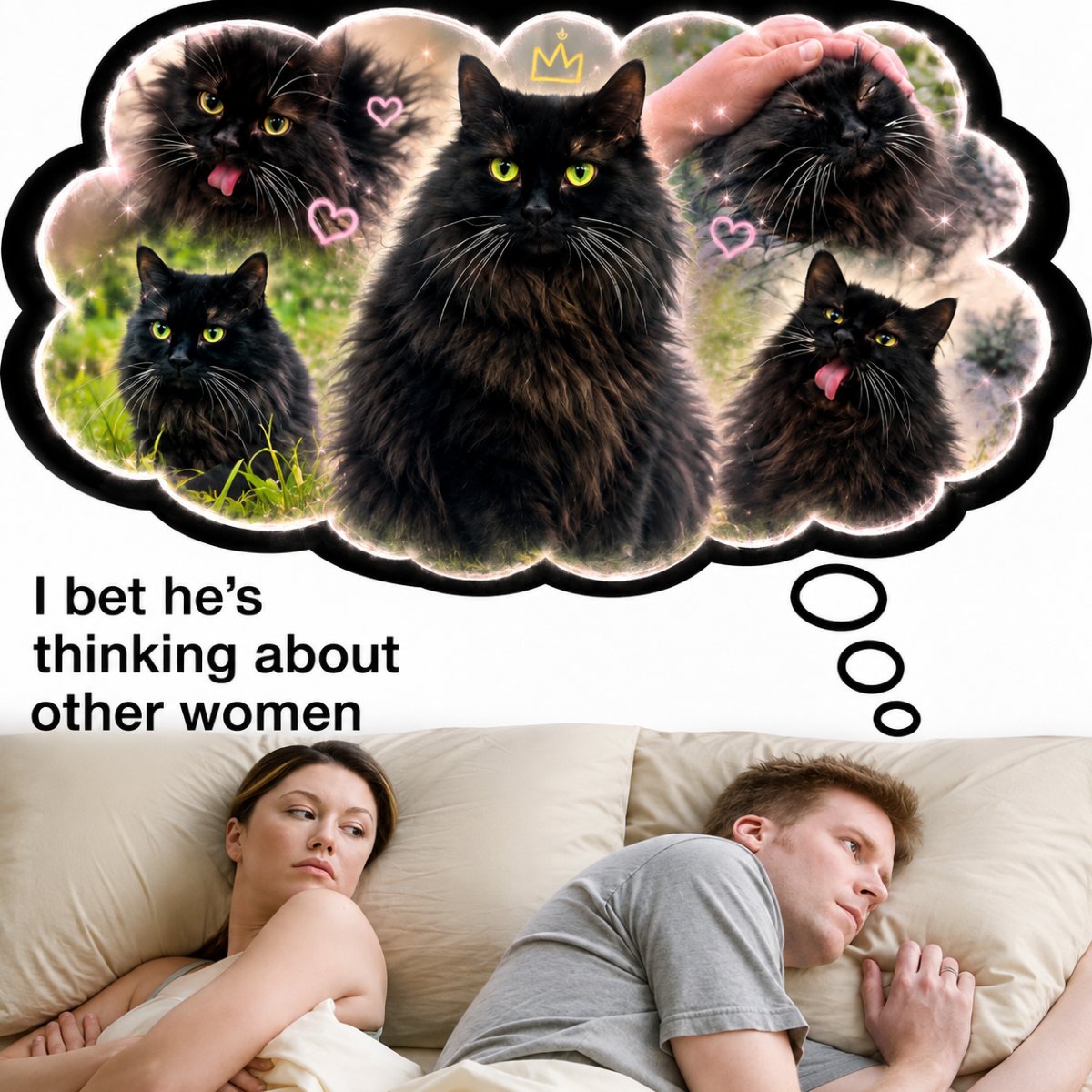 Meemers 3